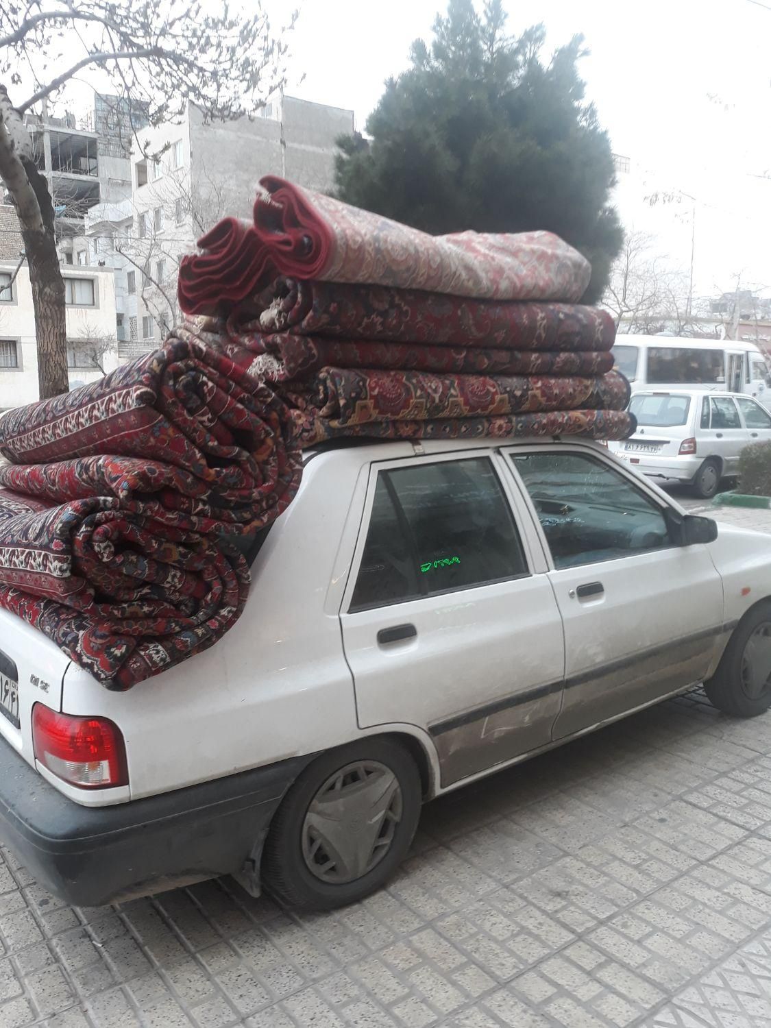 خریدار فرش دستباف درحدنو|فرش|مشهد, فرهنگ|دیوار
