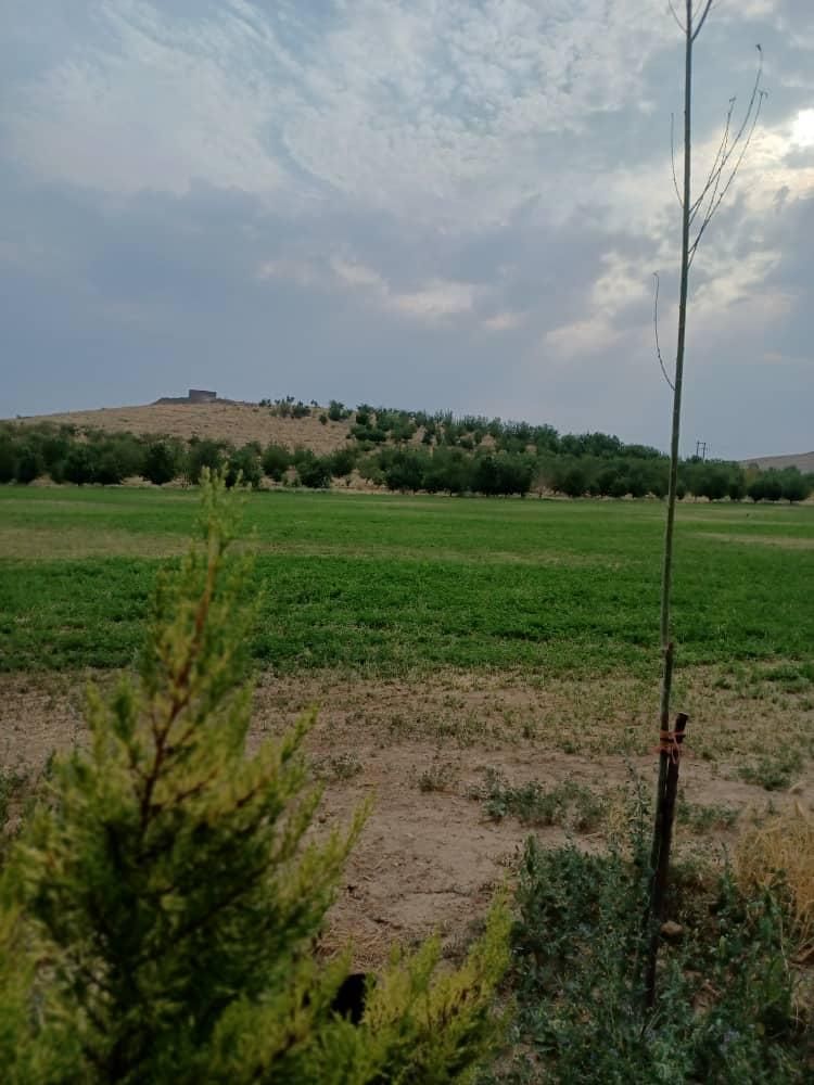 استخدام کارگر ساده  با مسکن و بیمه در بروجرد|استخدام صنعتی، فنی، مهندسی|بروجرد, |دیوار