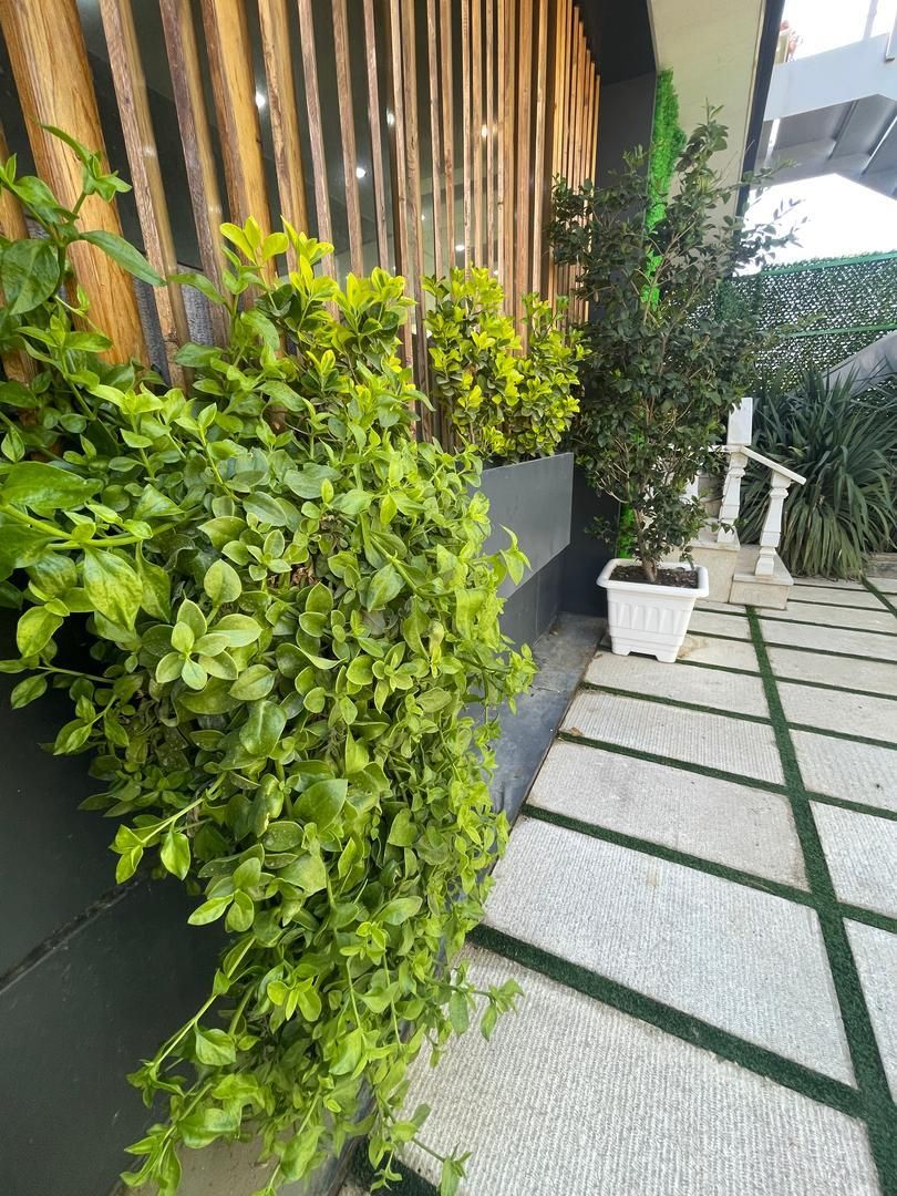 باغ ویلا با استخر ابگرم|اجارهٔ کوتاه‌مدت ویلا و باغ|صدرا-فارس, باغشهر بهارستان صدرا|دیوار