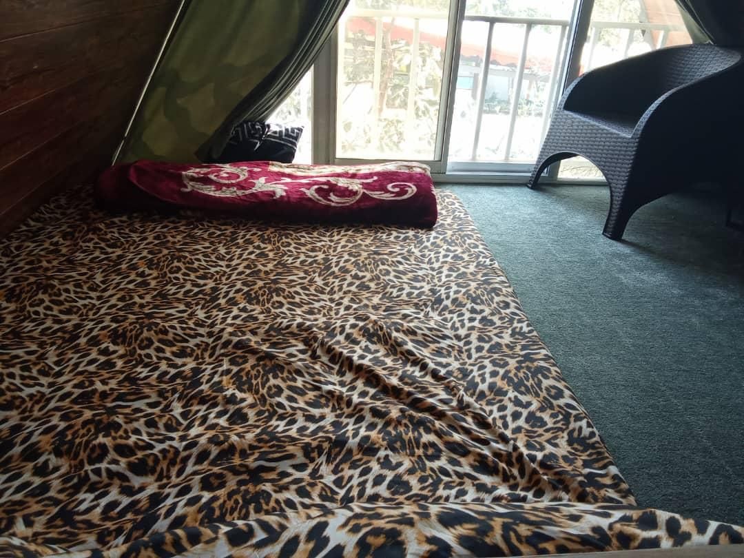 اجاره خانه سوییسی جاده هتل رامسر مرکز شهر|اجارهٔ کوتاهمدت آپارتمان و سوئیت|رامسر, |دیوار