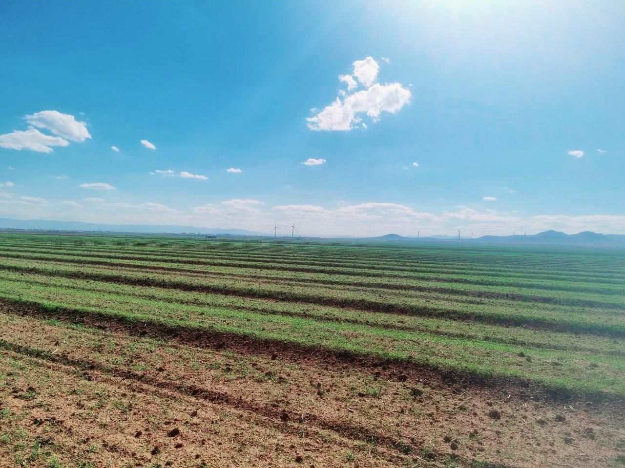 ده هزار مترمربع زمین کشاورزی باغی|فروش دفتر صنعتی، کشاورزی، تجاری|صباشهر, |دیوار