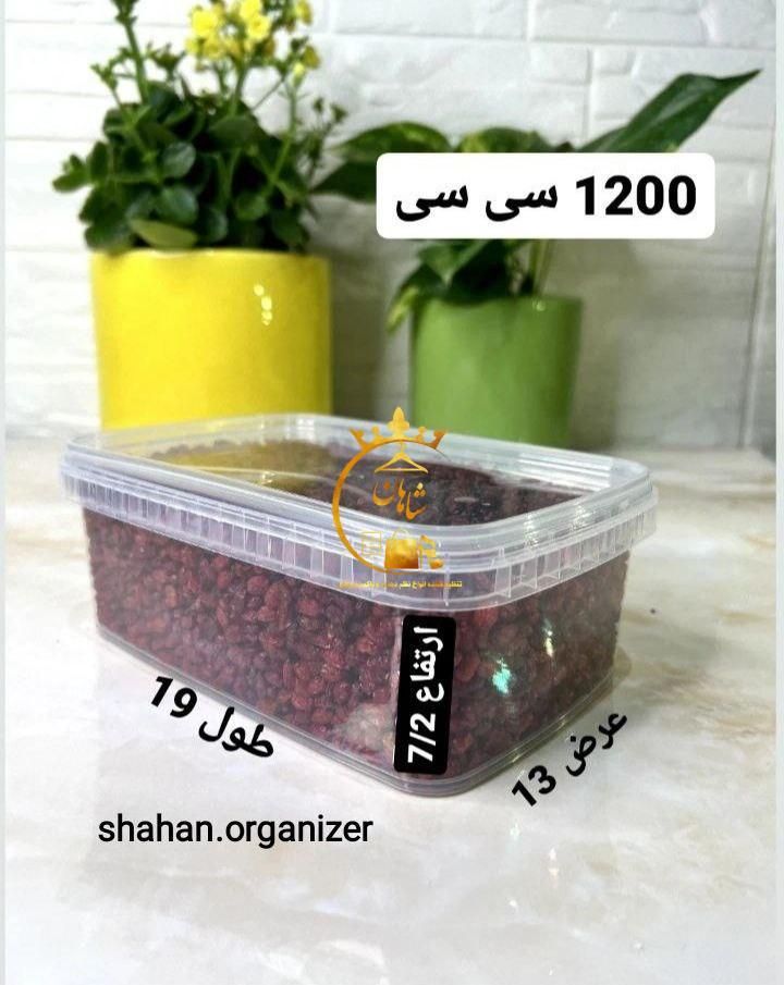 ظرف نگهدارنده ۱۲۰۰ سی سی کارتون ۲۰۰ عددی|ظروف نگهدارنده، پلاستیکی، یک‌بارمصرف|اسلام‌شهر, |دیوار