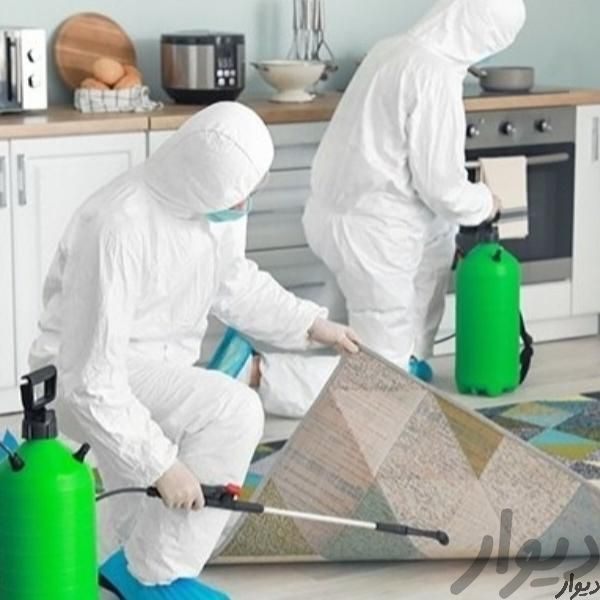 سمپاشی ساس سوسک موش کنه گال بید شرکت تخصصی سم پاشی|خدمات نظافت|تهران, نواب|دیوار