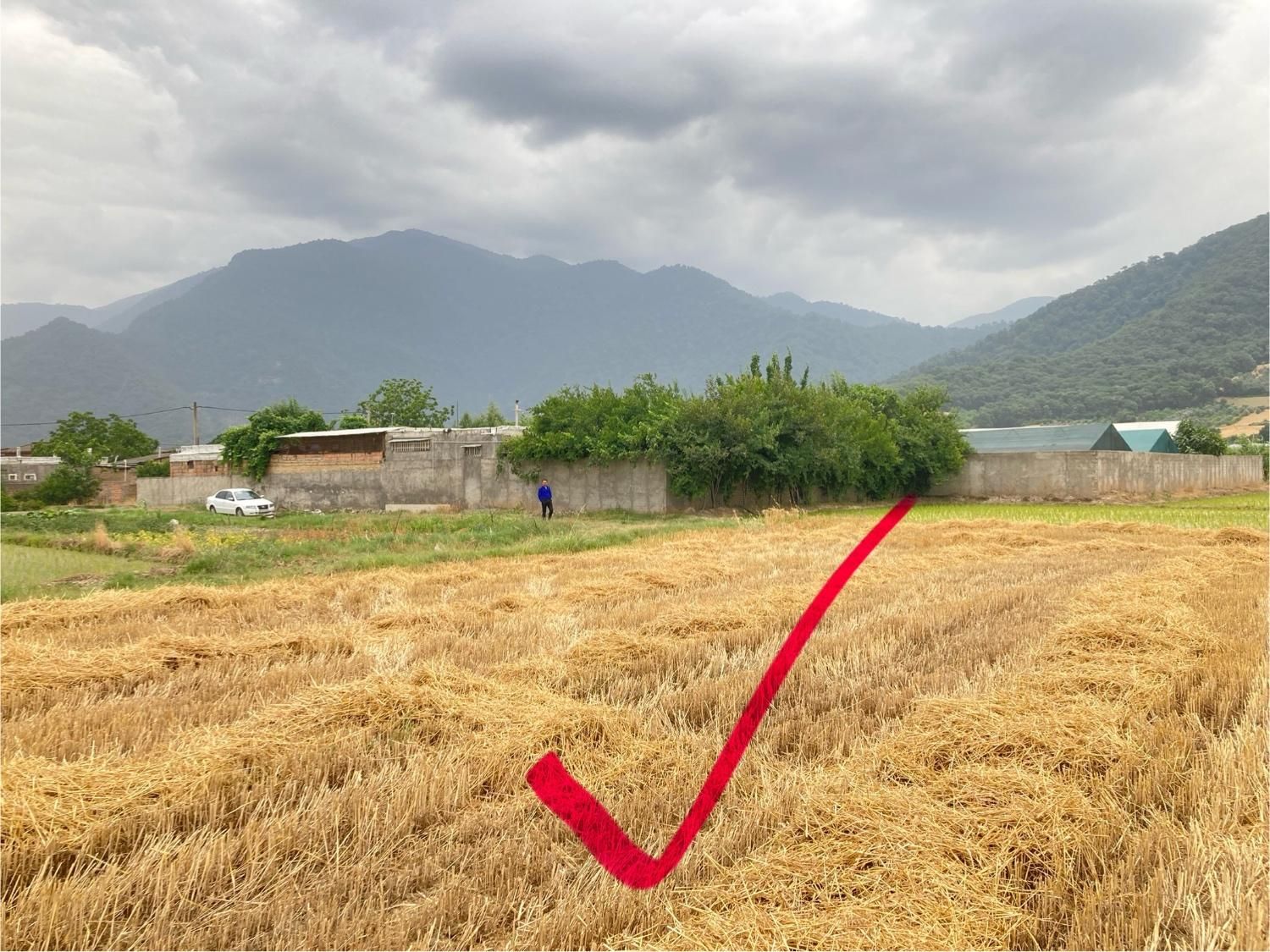 ۵۰۰متر زمین الحاق به بافت دوبر روستای مازیاران|فروش زمین و ملک کلنگی|خان ببین, |دیوار
