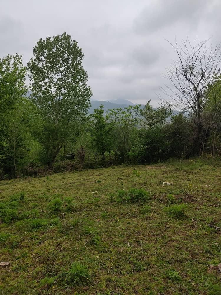 زمینی مسکونی در روستای شالما و روستای گنجار|فروش زمین و ملک کلنگی|احمدسرگوراب, |دیوار