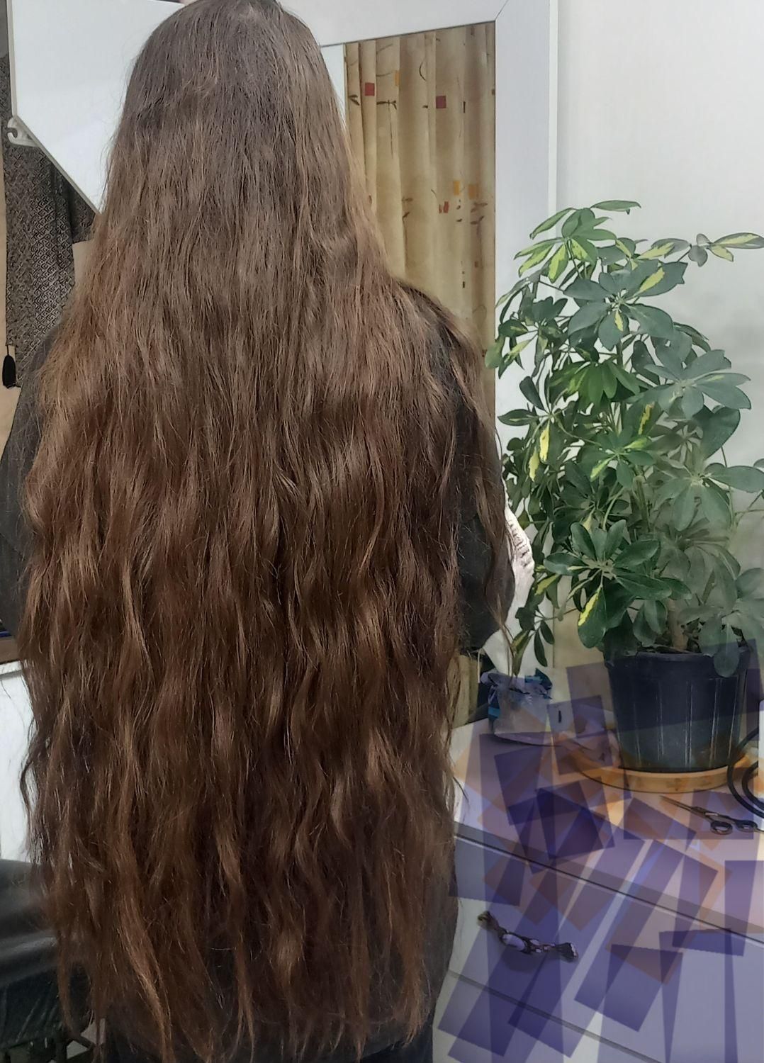 مرکز خرید موی طبیعی|خدمات آرایشگری و زیبایی|اسفراین, |دیوار