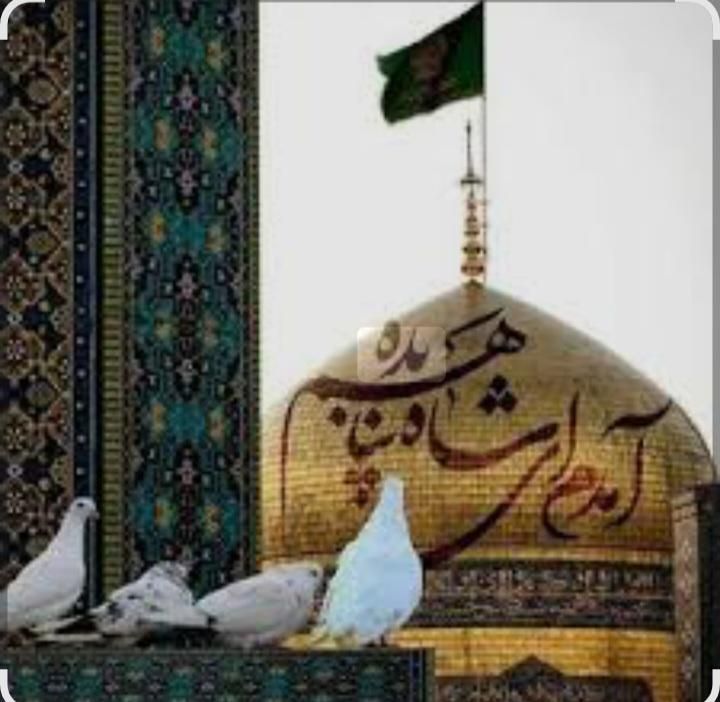 تور  مشهد ویژه و اقتصادی مرداد ماه|تور و چارتر|قم, ارم|دیوار