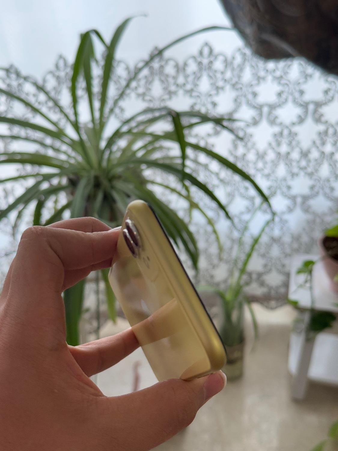 iPhone 11 yellow ایفون|موبایل|تهران, ایران|دیوار