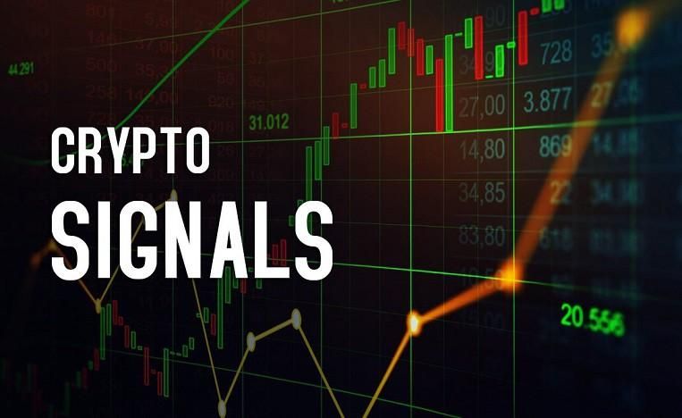 ذهن تریدر، جیب پُر|فعالیت داوطلبانه|رشت, آزادگان|دیوار