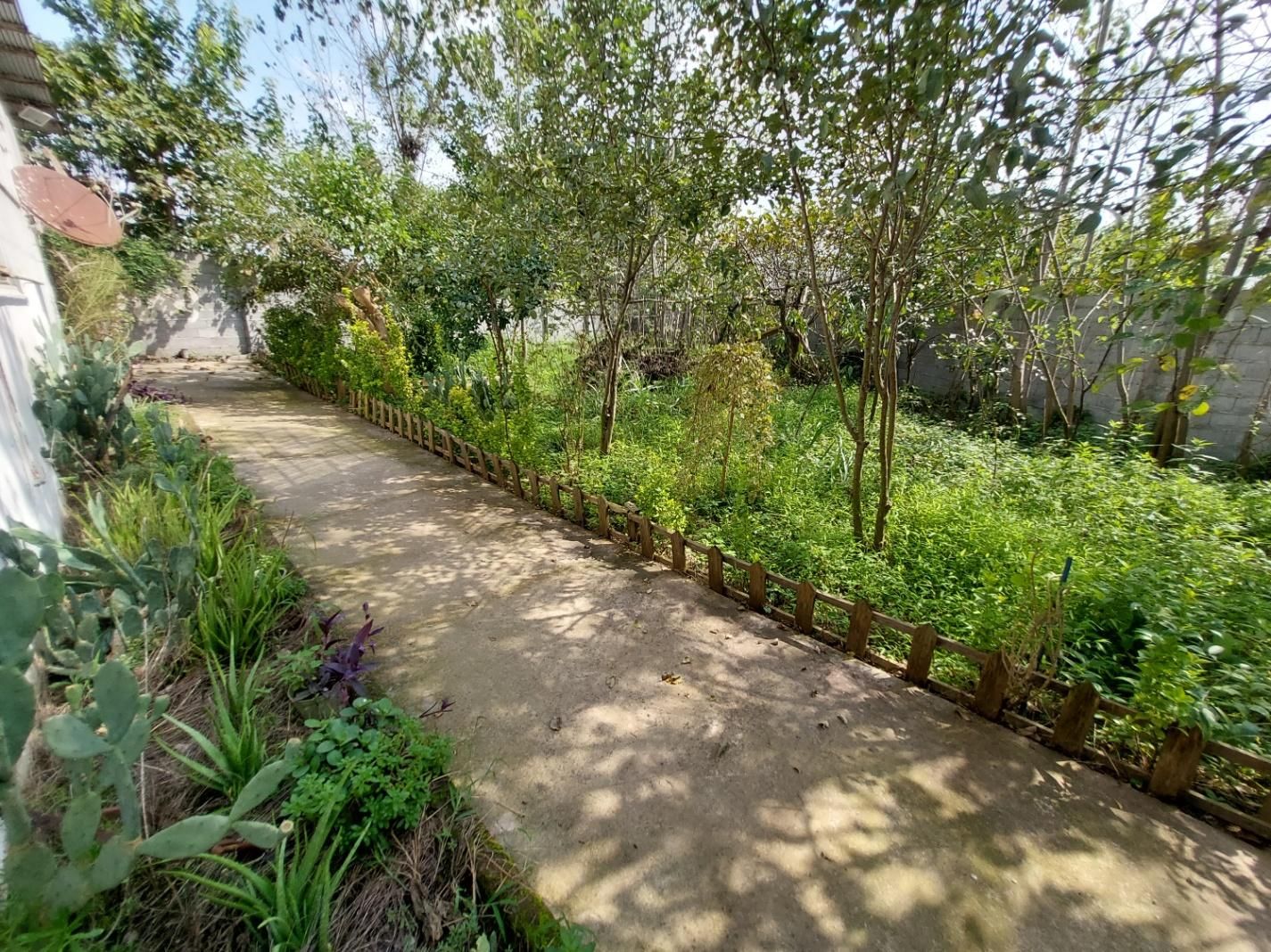 خانه ۸۰۰متر رشت لاکچری|فروش خانه و ویلا|رشت, حومه رشت|دیوار