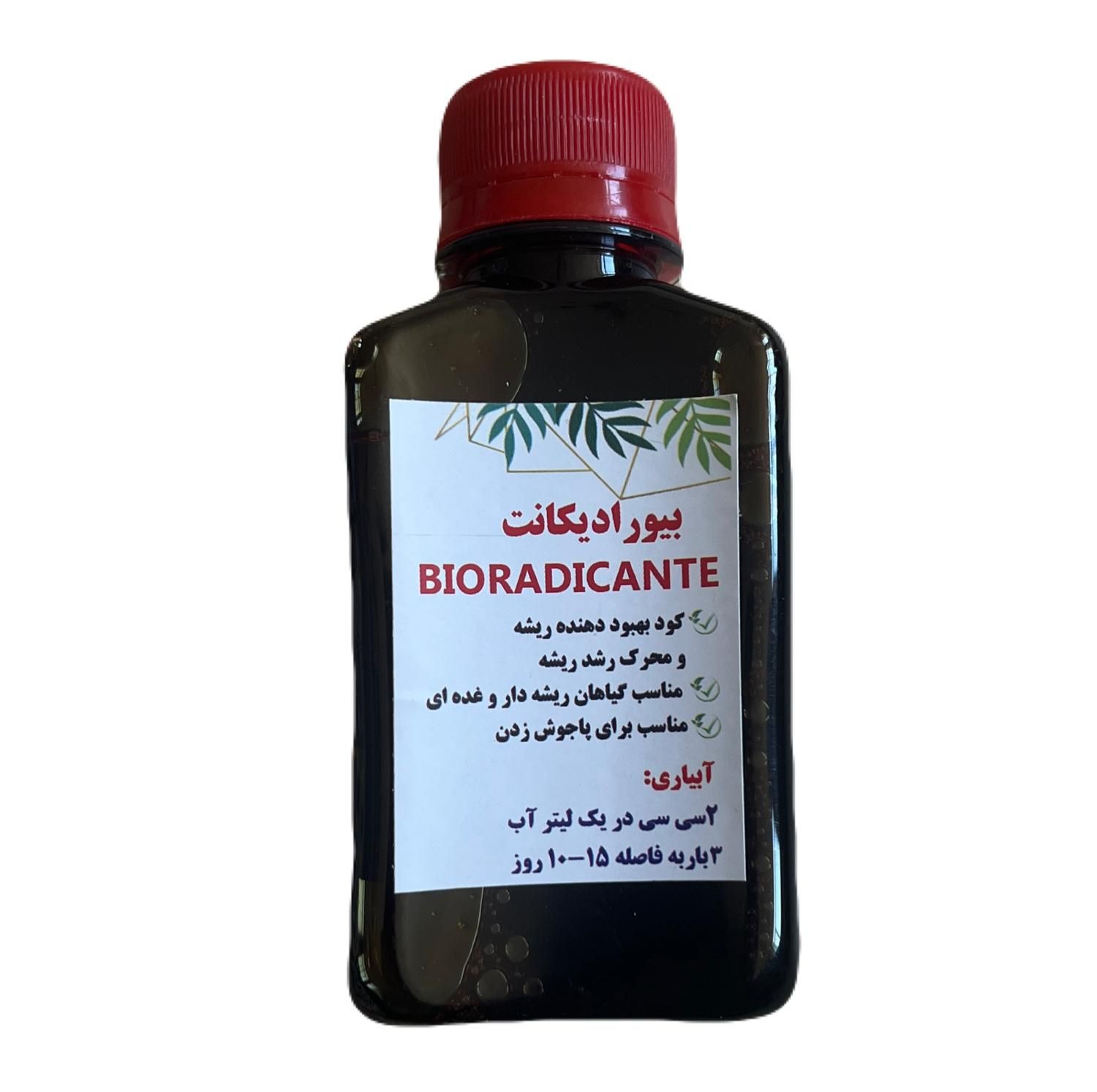 حتی اگر یک گلدان در خانه دارید آگهی را دنبال کنید|گل و گیاه طبیعی|اصفهان, بوستان آینه خانه|دیوار