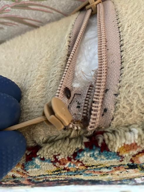 سمپاشی تخصصی تضمینی ساس سوسک مورچه بامجوز رسمی|خدمات نظافت|شهریار, |دیوار