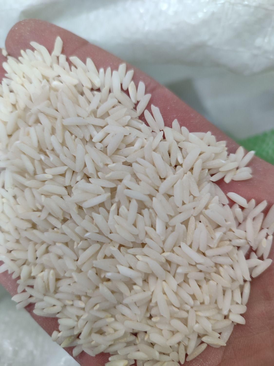 برنج مامان(اصل ممان میانه)|خوردنی و آشامیدنی|زنجان, |دیوار