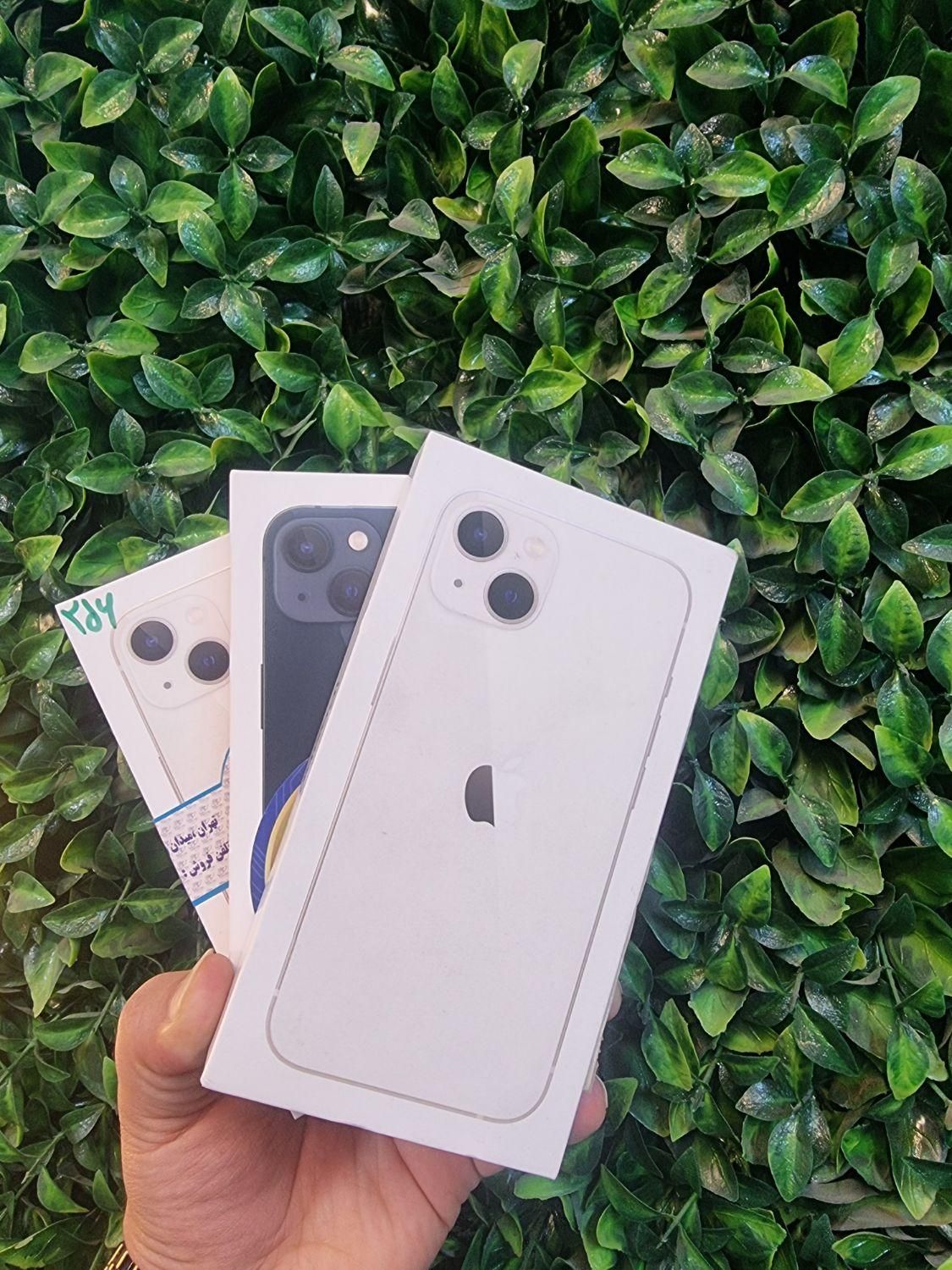 اپل iPhone 13 با حافظهٔ ۱۲۸ گیگابایت|موبایل|اصفهان, نقش جهان|دیوار