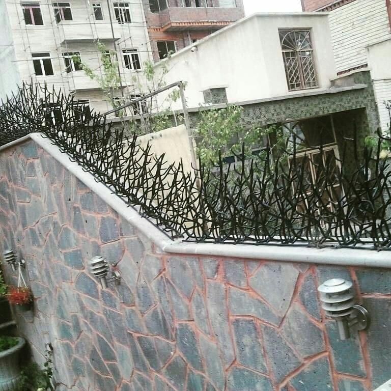 حفاظ شاخ گوزنی|خدمات پیشه و مهارت|سبزوار, |دیوار