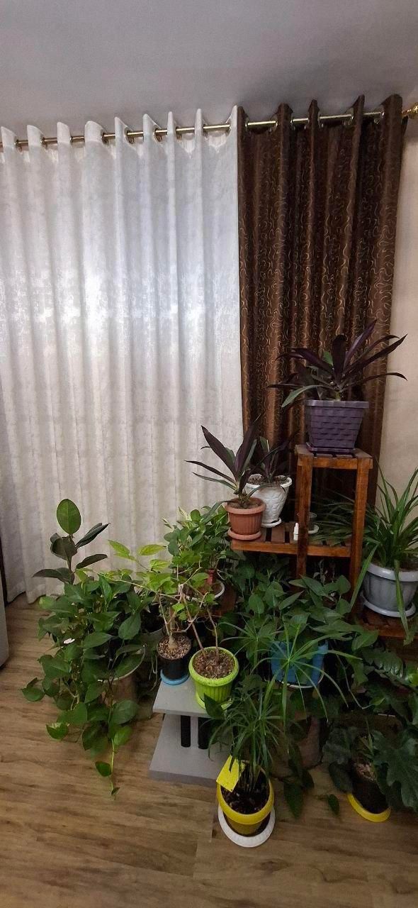 پرده پانچ ۵ تکه ، نباتی با پنل قهوه ای پارچه ترک|پرده، رانر، رومیزی|اصفهان, سپاهان‌شهر|دیوار