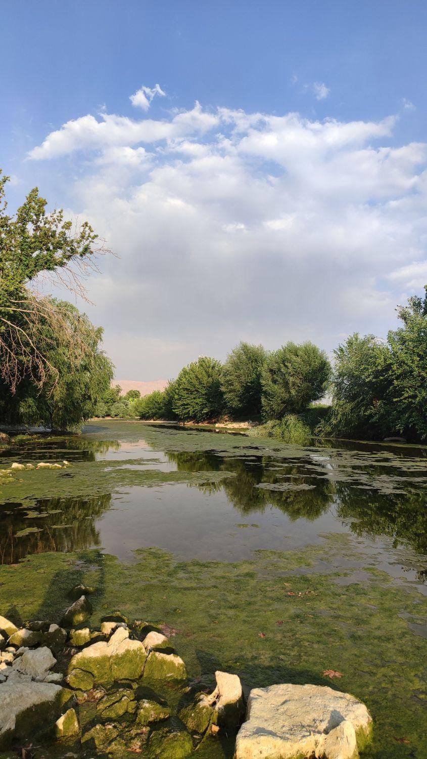 اجاره سوییت|اجارهٔ کوتاه‌مدت آپارتمان و سوئیت|مبارکه, |دیوار