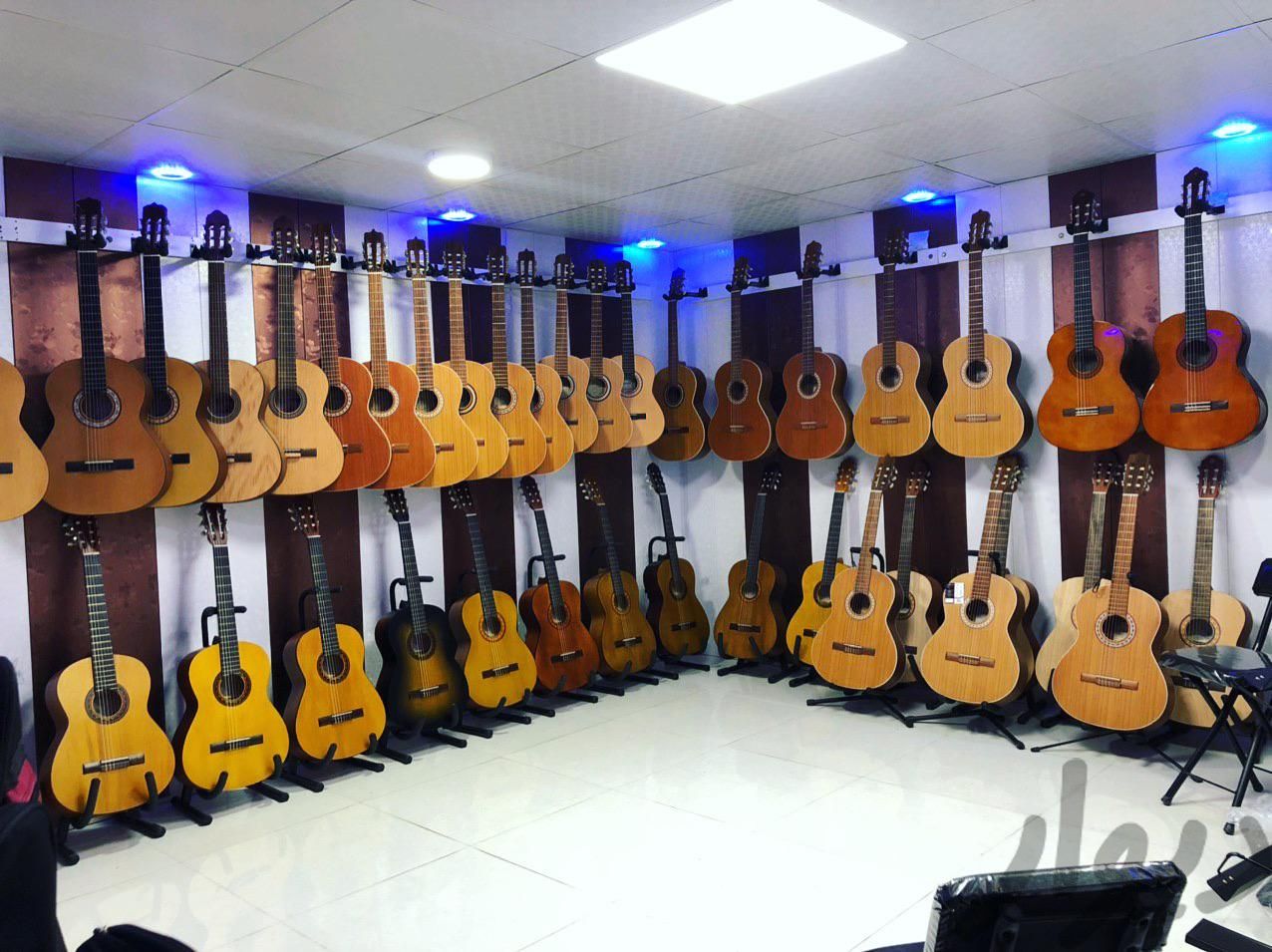 گیتار پارسی M5|گیتار، بیس و امپلیفایر|کرمانشاه, |دیوار