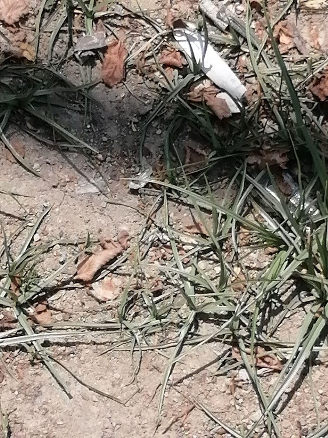 175 متر زمین شهری مسکونی سرمایهگذاری|فروش زمین و ملک کلنگی|صومعهسرا, |دیوار