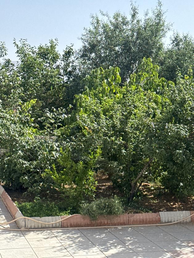 آپارتمان مسکن ملی بهارستان|پیش‌فروش املاک|اصفهان, بهارستان|دیوار