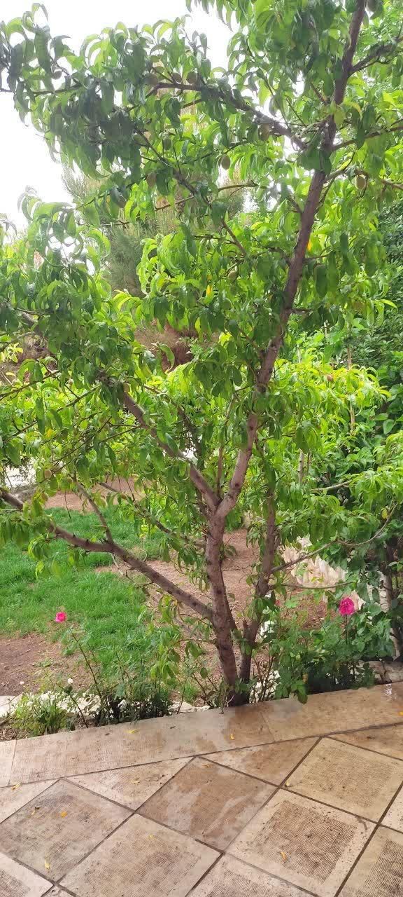 اجاره ویلا داخل دهکده تفریحی چادگان|اجارهٔ کوتاهمدت ویلا و باغ|مبارکه, |دیوار