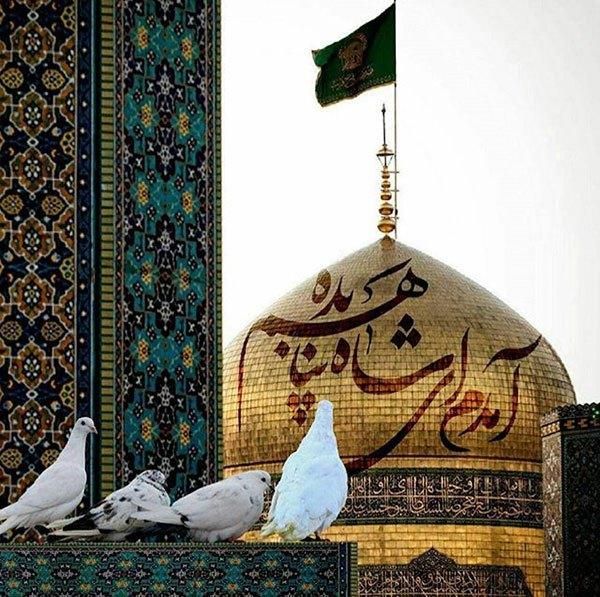 تور هوایی مشهد همه روزه با خدمات ویژه|تور و چارتر|شیراز, فرهنگ شهر|دیوار