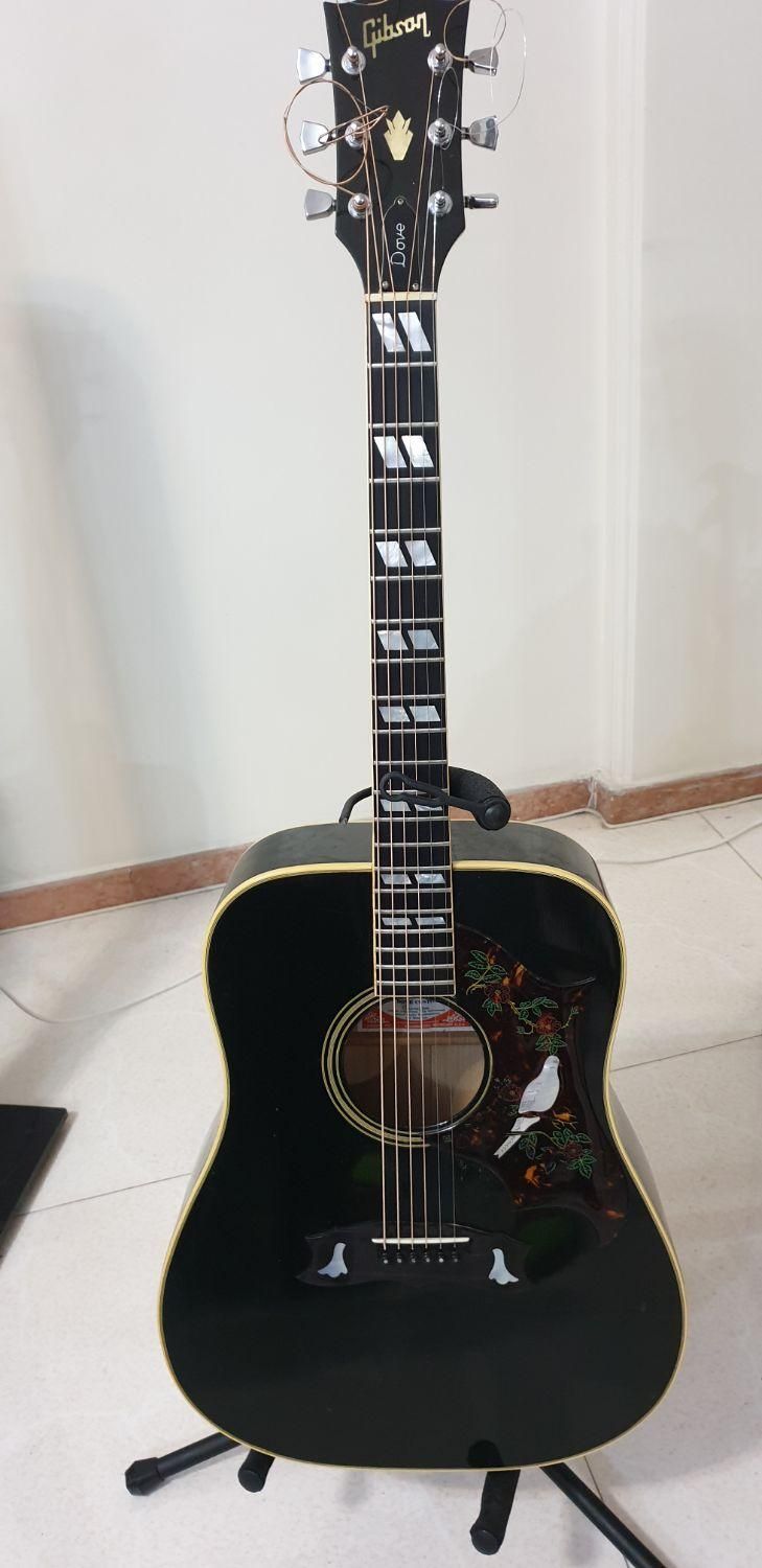 Gibson Dove Ebony black 1978|گیتار، بیس، امپلیفایر|تهران, ونک|دیوار