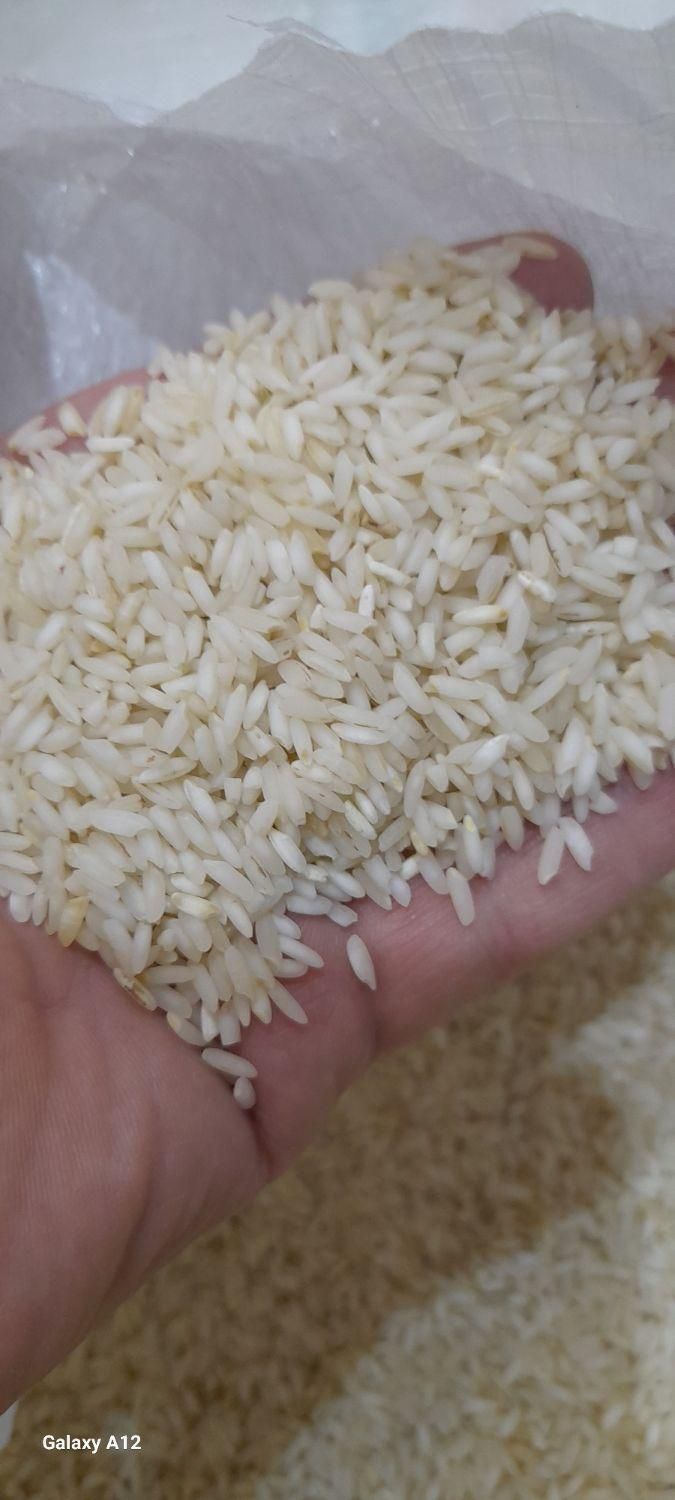 برنج میداوود معطر       اصفهان کارت پذیرفته می‌شود|خوردنی و آشامیدنی|اصفهان, رزمندگان|دیوار