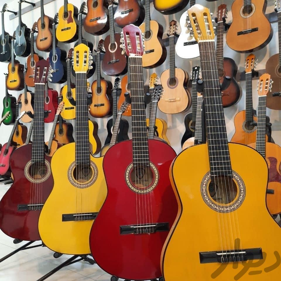 گیتار سایز  استاندارد|گیتار، بیس و امپلیفایر|مشهد, ابوطالب|دیوار