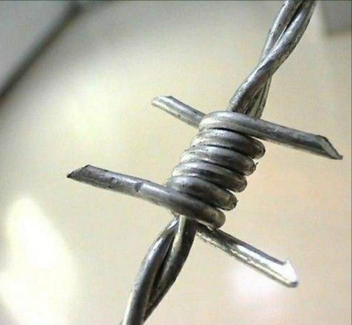 انواع توری فنس گابیون مرغی باغی و...|مصالح و تجهیزات ساختمان|لنگرود, |دیوار