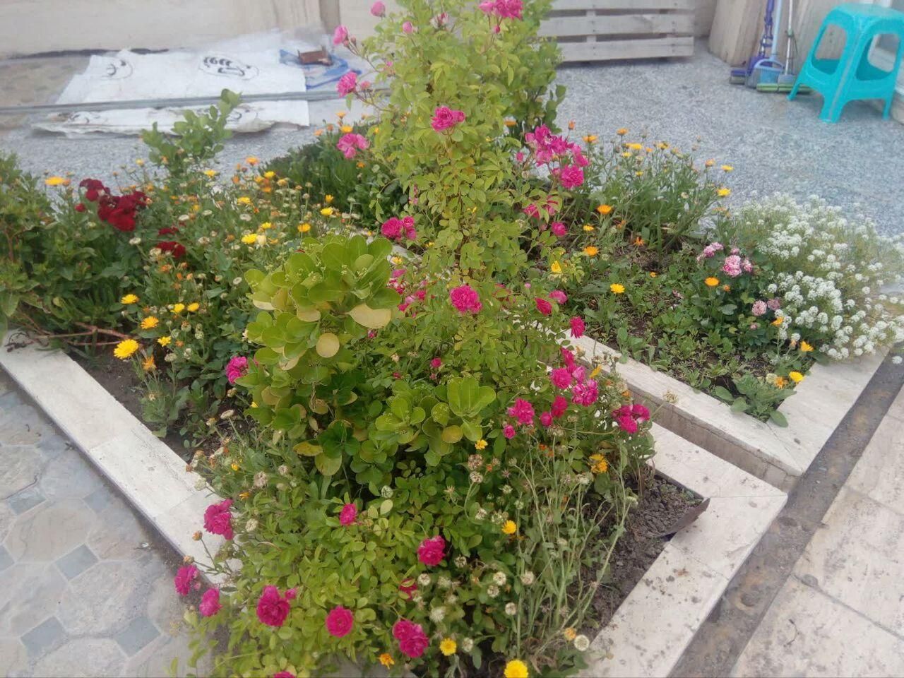 آپارتمان(تخلیه)مشابه ویلایی۲۰۷متر+۱۰۵تراس فول|اجارهٔ آپارتمان|مشهد, آبکوه|دیوار