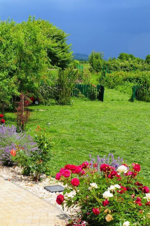 فروش زمین ۵۰۰ متری در قدوسی غربی|فروش زمین و ملک کلنگی|شیراز, قدوسی غربی|دیوار