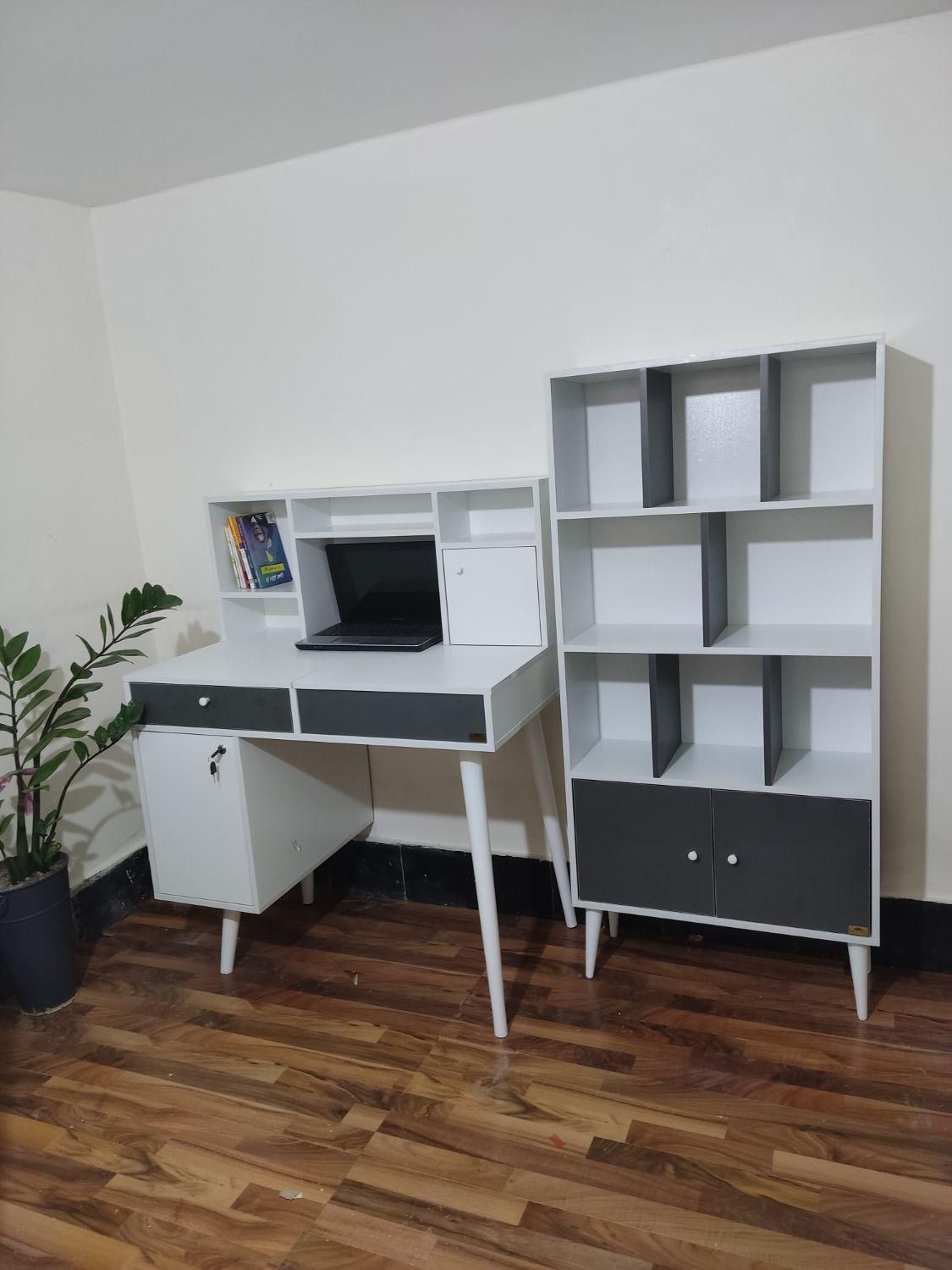 کتابخانه اسپرت|کتابخانه، شلف، قفسه‌های دیواری|مشهد, فرهنگ|دیوار