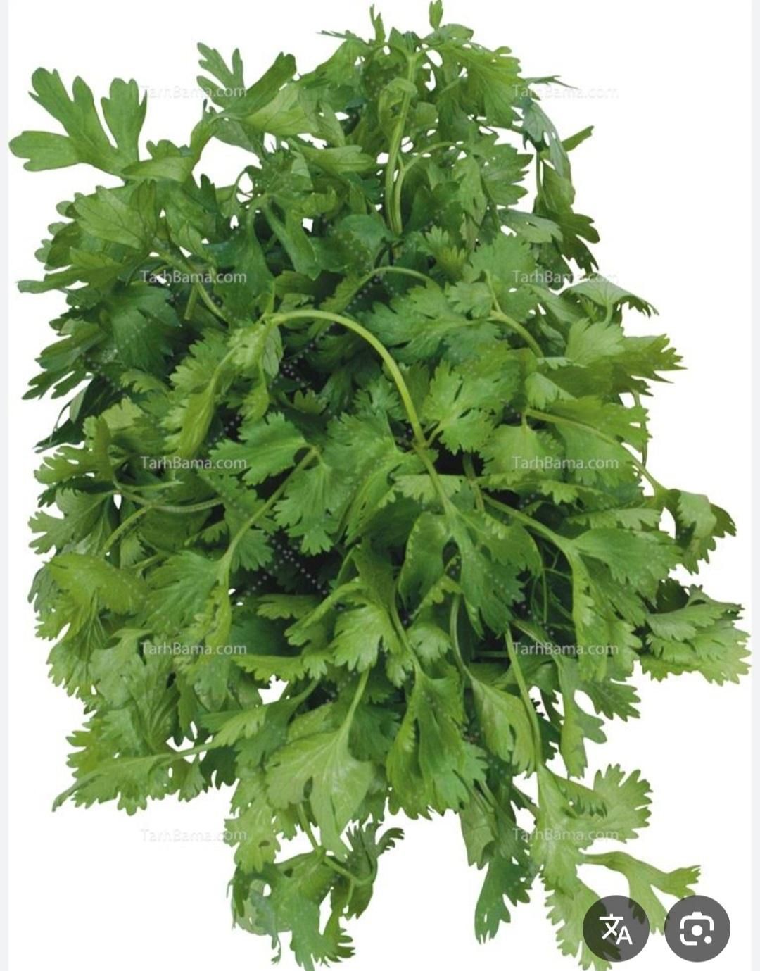 سبزی عمده|خوردنی و آشامیدنی|تهران, خانی آباد نو جنوبی|دیوار