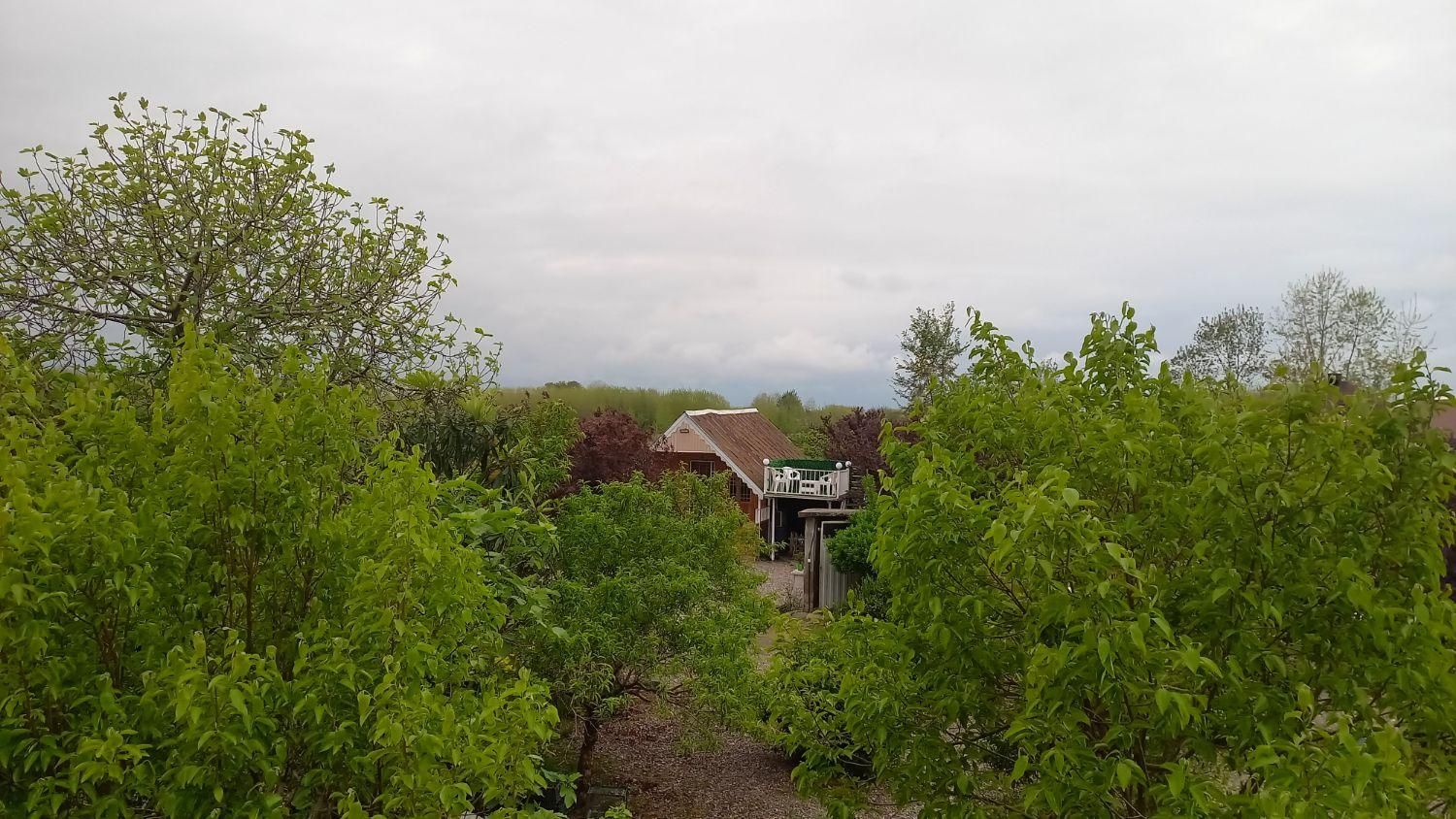 اجاره کلبه با ویو زیبا وطبیعت بکر|اجارهٔ کوتاه‌مدت ویلا و باغ|لاهیجان, آهندان|دیوار