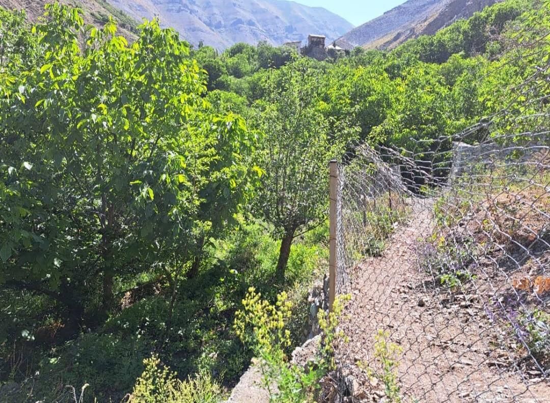 ۱۲۰۰متر باغ ۳۵کیلومتری جاده چالوس،روستای مورود|فروش زمین و ملک کلنگی|آسارا, |دیوار
