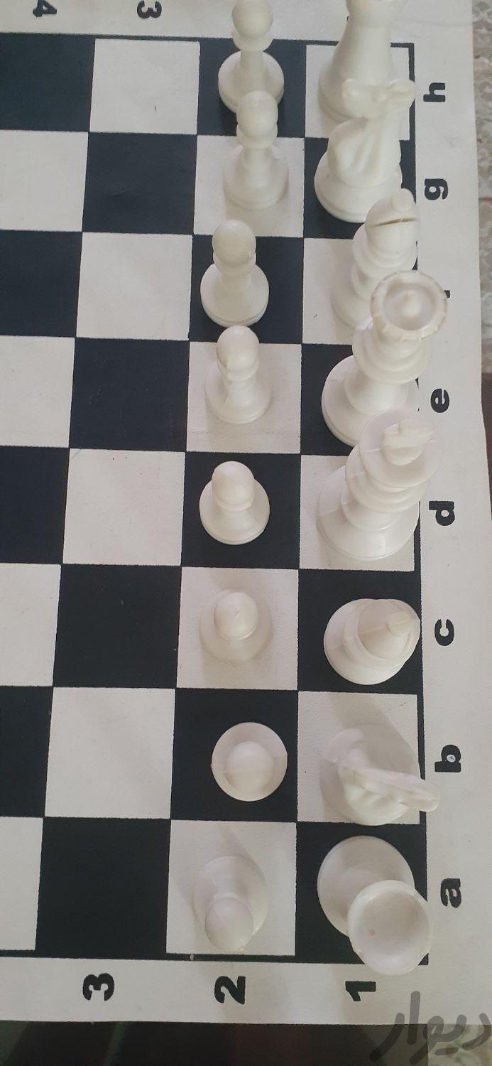 شطرنج فدراسیونی|تجهیزات ورزشی|اهواز, کیانپارس |دیوار