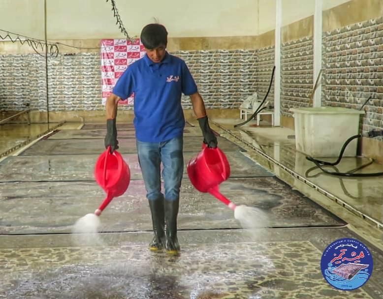 قالیشویی و مبلشویی سنتی شور(همیشه تمیز)|خدمات نظافت|اصفهان, جوزدان الیادران|دیوار