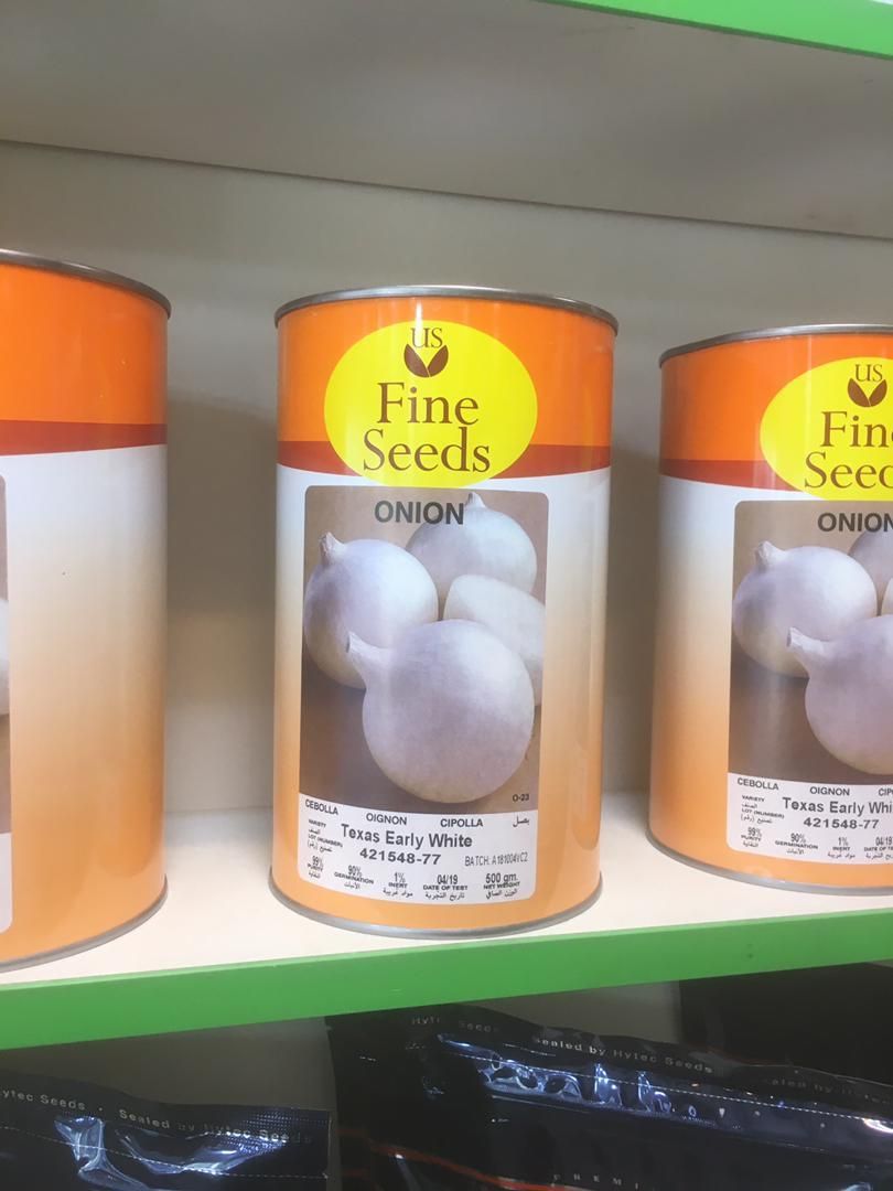 فروش ROSSEN SEED و انزا|خدمات باغبانی و درختکاری|اصفهان, باغ فردوس|دیوار