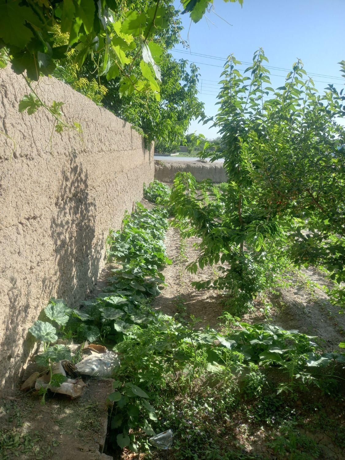 فروش زمین(باغ) ۵۰۵ متری در باغ فردوس(ناژوان)|فروش زمین و ملک کلنگی|اصفهان, باغ فردوس|دیوار