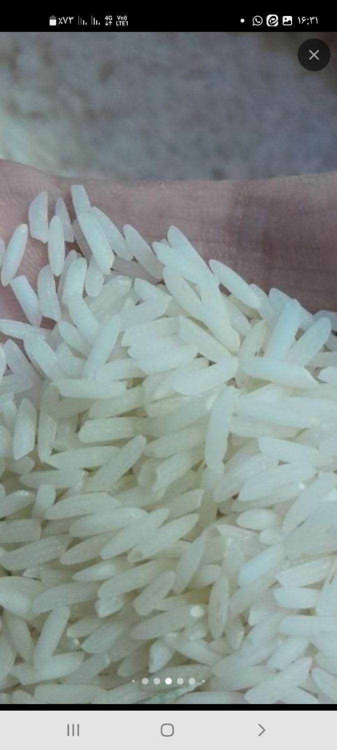 برنج طارم خارجی|خوردنی و آشامیدنی|تهران, وصفنارد|دیوار