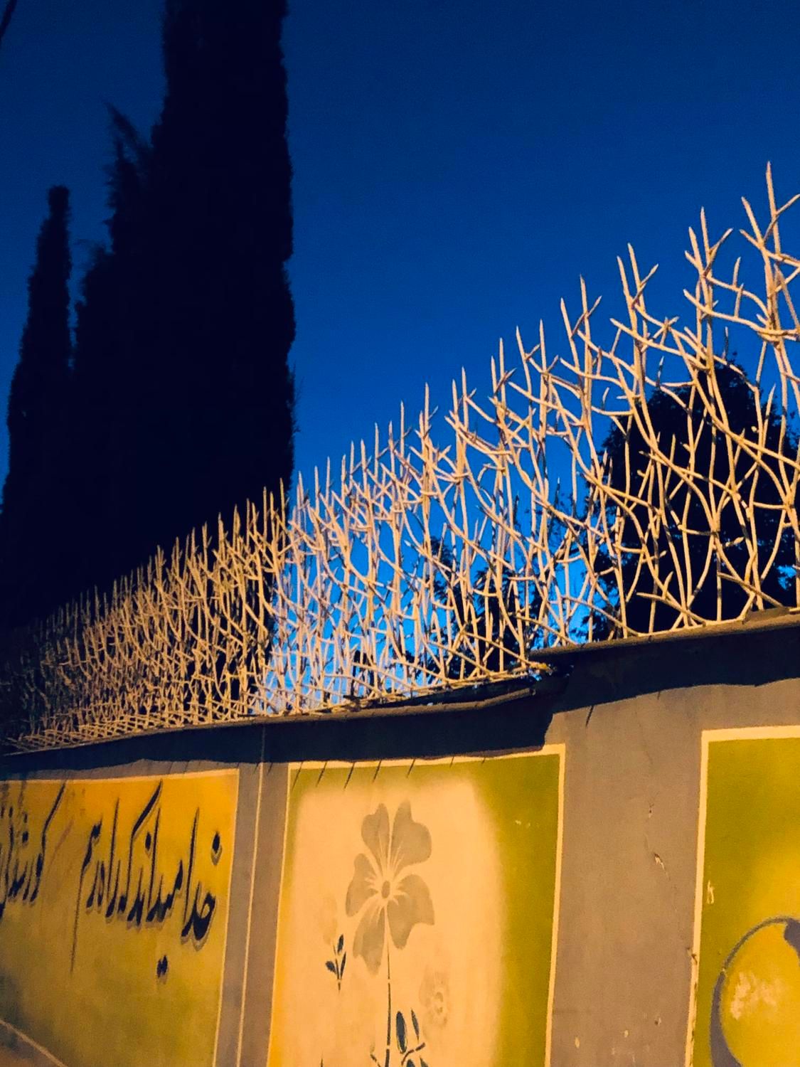 دزدگیر فلزی حفاظ نرده شاخ گوزنی بوته ای لیلیوم|مصالح و تجهیزات ساختمان|شیراز, شهرک گلدشت حافظ‎|دیوار