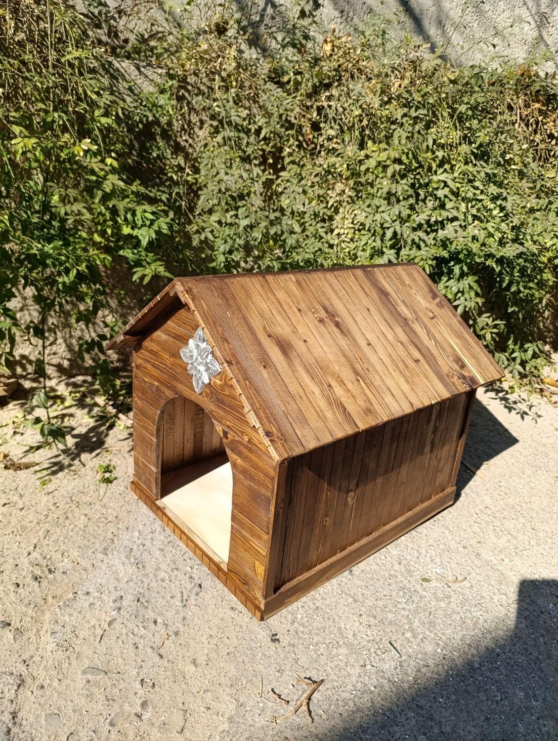 لانه گربه|گربه|تهران, کن|دیوار