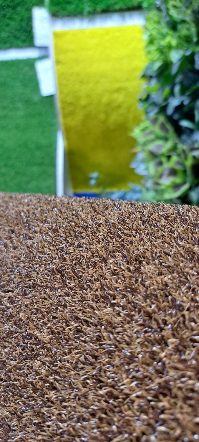 چمن مصنوعی رنگ قهوهای، طلایی|مصالح و تجهیزات ساختمان|تبریز, |دیوار