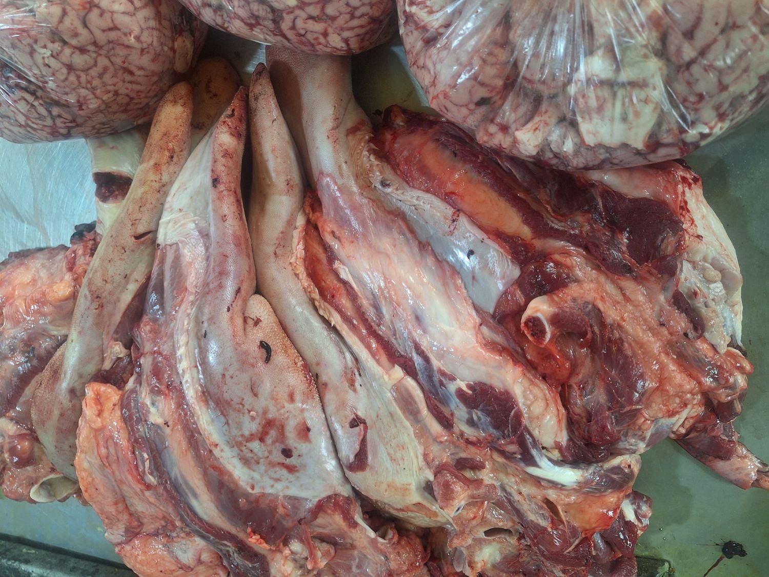 پخش بار تازه ران سردست قلوه گاه|خوردنی و آشامیدنی|آفتاب, |دیوار