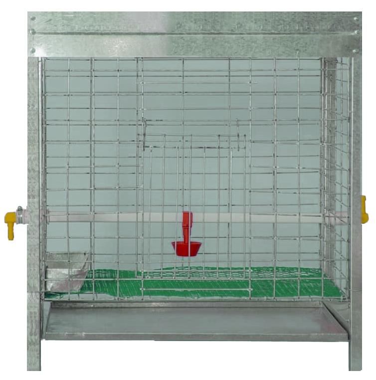 * قفس مرغ / قفس کبوتر / قفس بلدرچین|لوازم جانبی حیوانات|بوکان, |دیوار