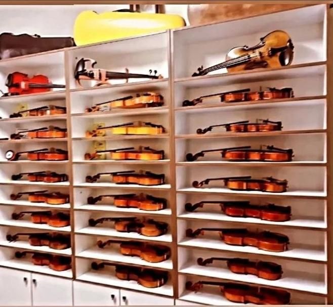 انواع ویولن با ضمانت و هدیه آموزشی‌|ویولن|اصفهان, نقش جهان|دیوار