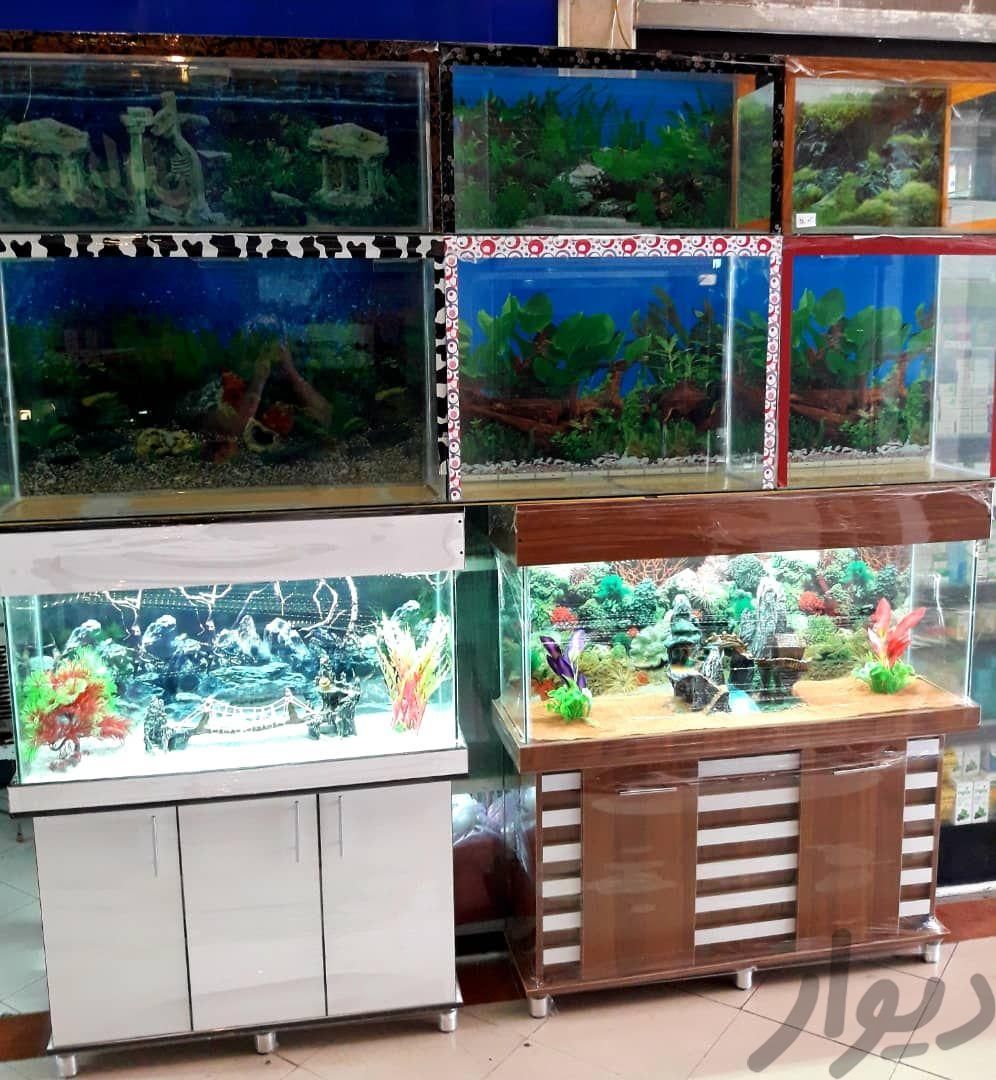آکواریوم شیشه خم شرکتی به همراه پایه|ماهی و آکواریوم|تهران, تهران‌سر|دیوار