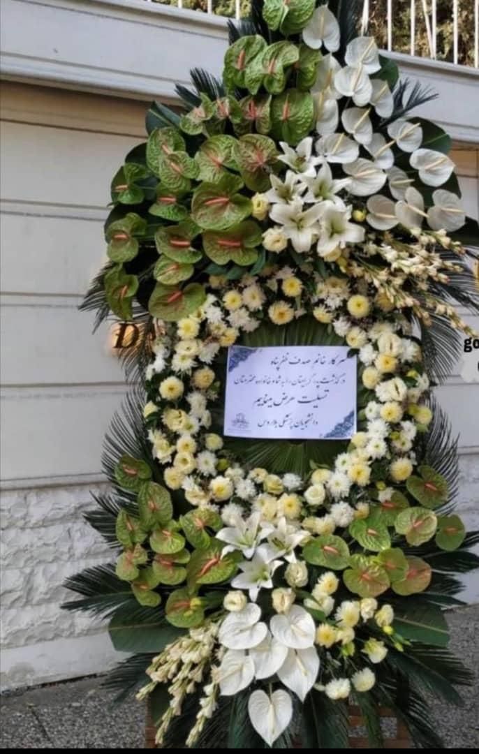 گل فروشی عمده و تک تاج گل|گل و گیاه طبیعی|تهران, توحید|دیوار