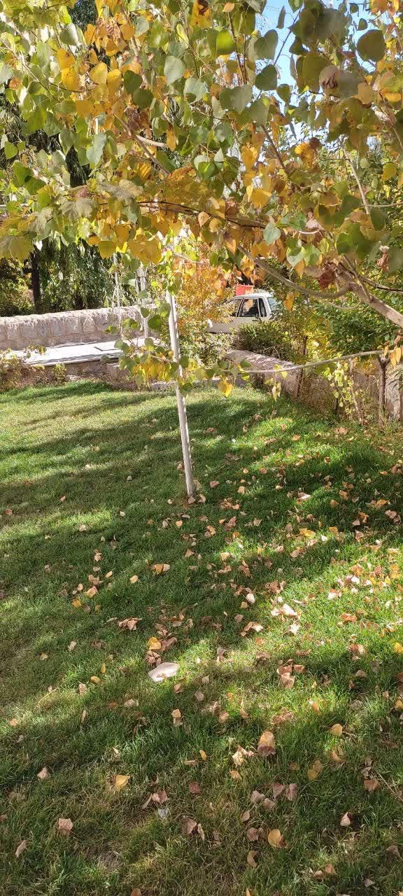 اجاره ویلا داخل دهکده تفریحی چادگان|اجارهٔ کوتاهمدت ویلا و باغ|مبارکه, |دیوار